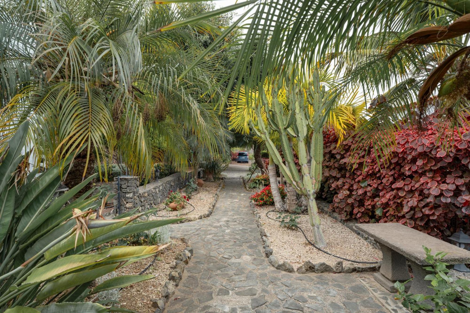 Casa Candelaria La Guancha Exterior foto